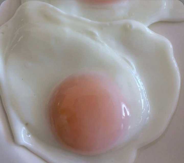 Egg